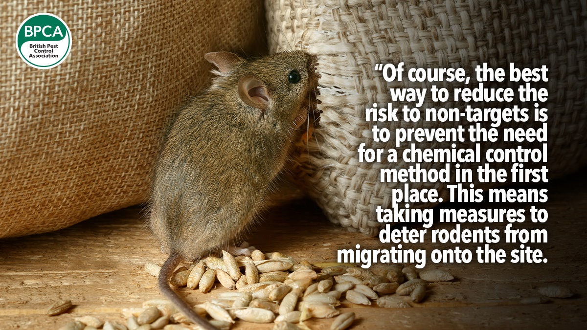basf-on-reducing-the-risk-of-anticoagulant-poisoninghero2 basf-on-reducing-the-risk-of-anticoagulant-poisoninghero2